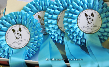 Basenji Club rosettes