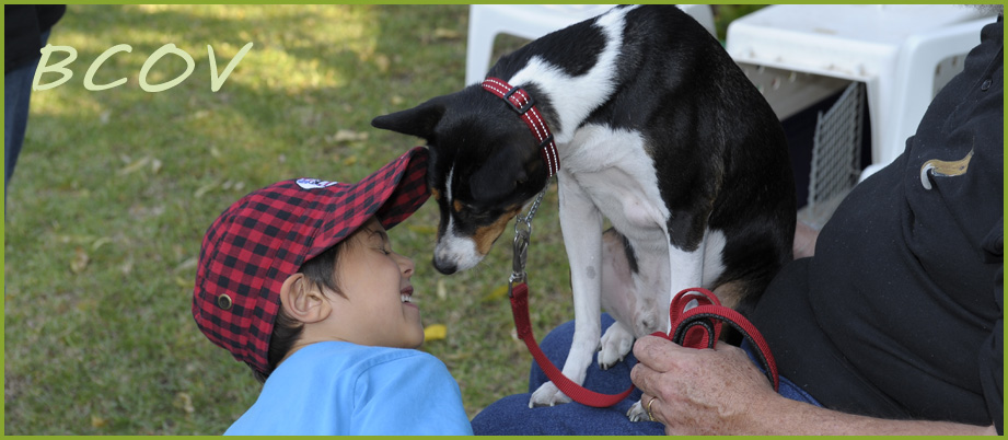 Basenjis love children