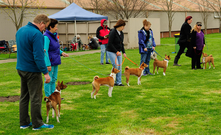 Gala Day Competition