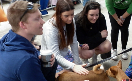 Royal Melbourne Show Meet and Greet