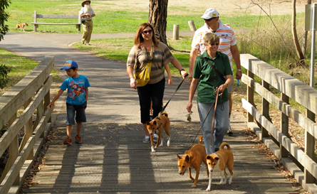 Enjoying the parks of Melbourne