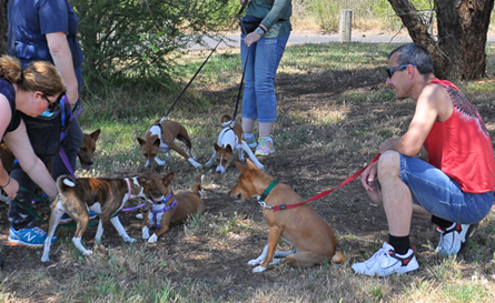 Stopping for a rest in the shade