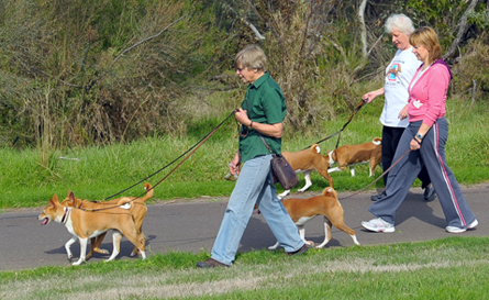 Just strolling along!