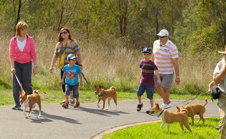 A Walk In The Park