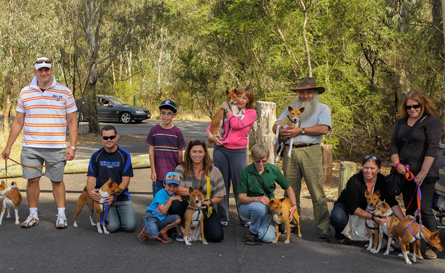 Members and their Basenjis enjoying the Stroll